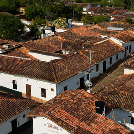 Bribón (9)